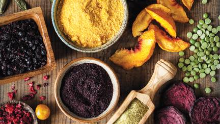 Dehydrated Vegetable Powders